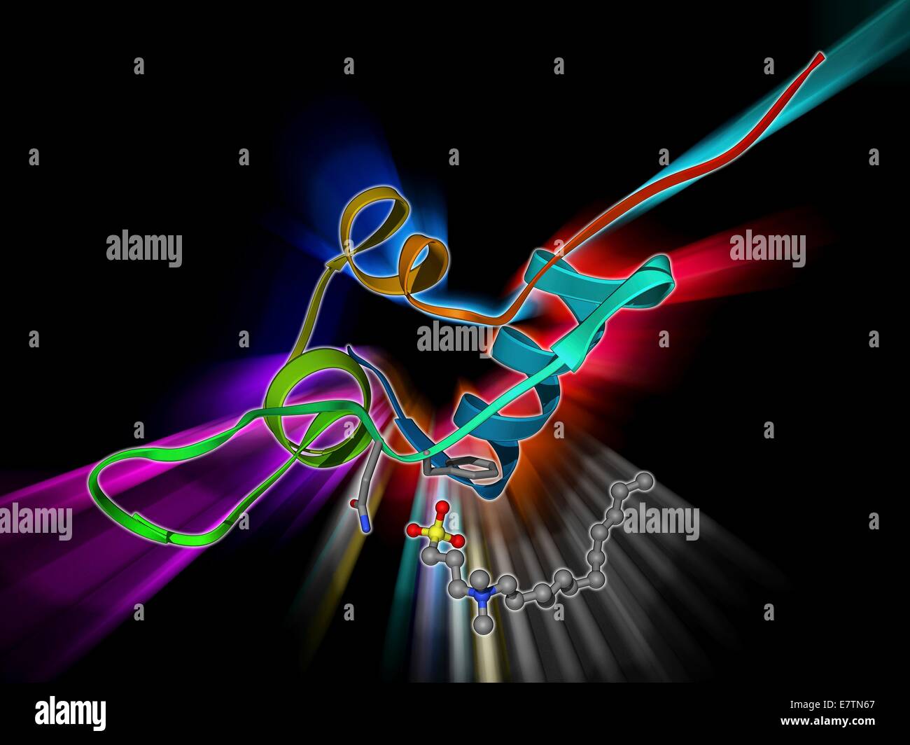 Insulin-like growth factor 1 (IGF-1), le modèle moléculaire. IGFs sont des polypeptides qui sont semblables dans leur structure moléculaire à l'insuline. L'IGF-1 est principalement sécrétée par le foie à la suite de la stimulation par l'hormone de croissance. En plus d'agir dans le même w Banque D'Images Insulin-like growth factor 1 (IGF-1), le modèle moléculaire. IGFs sont des polypeptides qui sont semblables dans leur structure moléculaire à l'insuline. L'IGF-1 est principalement sécrétée par le foie à la suite de la stimulation par l'hormone de croissance. En plus d'agir dans le même w Banque D'Images