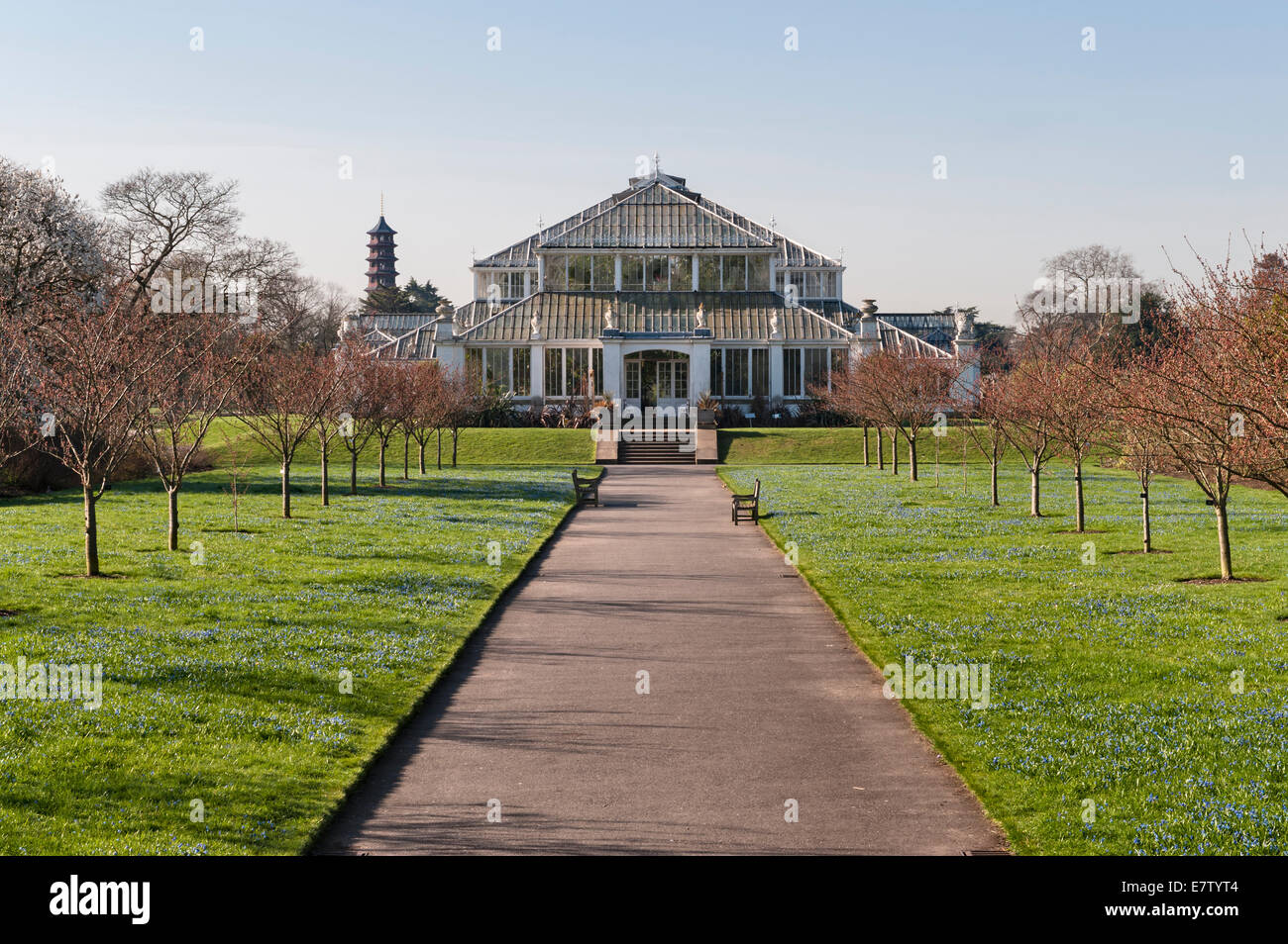 The Royal Botanic Gardens, Kew, Londres, Royaume-Uni. La maison Temperate en fer forgé et verre, construite par Decimus Burton, a ouvert ses portes en 1863 Banque D'Images