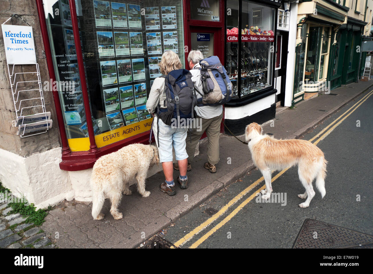 Vue arrière de deux femmes âgées avec des sacs à dos et les chiens à la fenêtre de l'agent immobilier à Hay-on-Wye au Pays de Galles UK KATHY DEWITT Banque D'Images