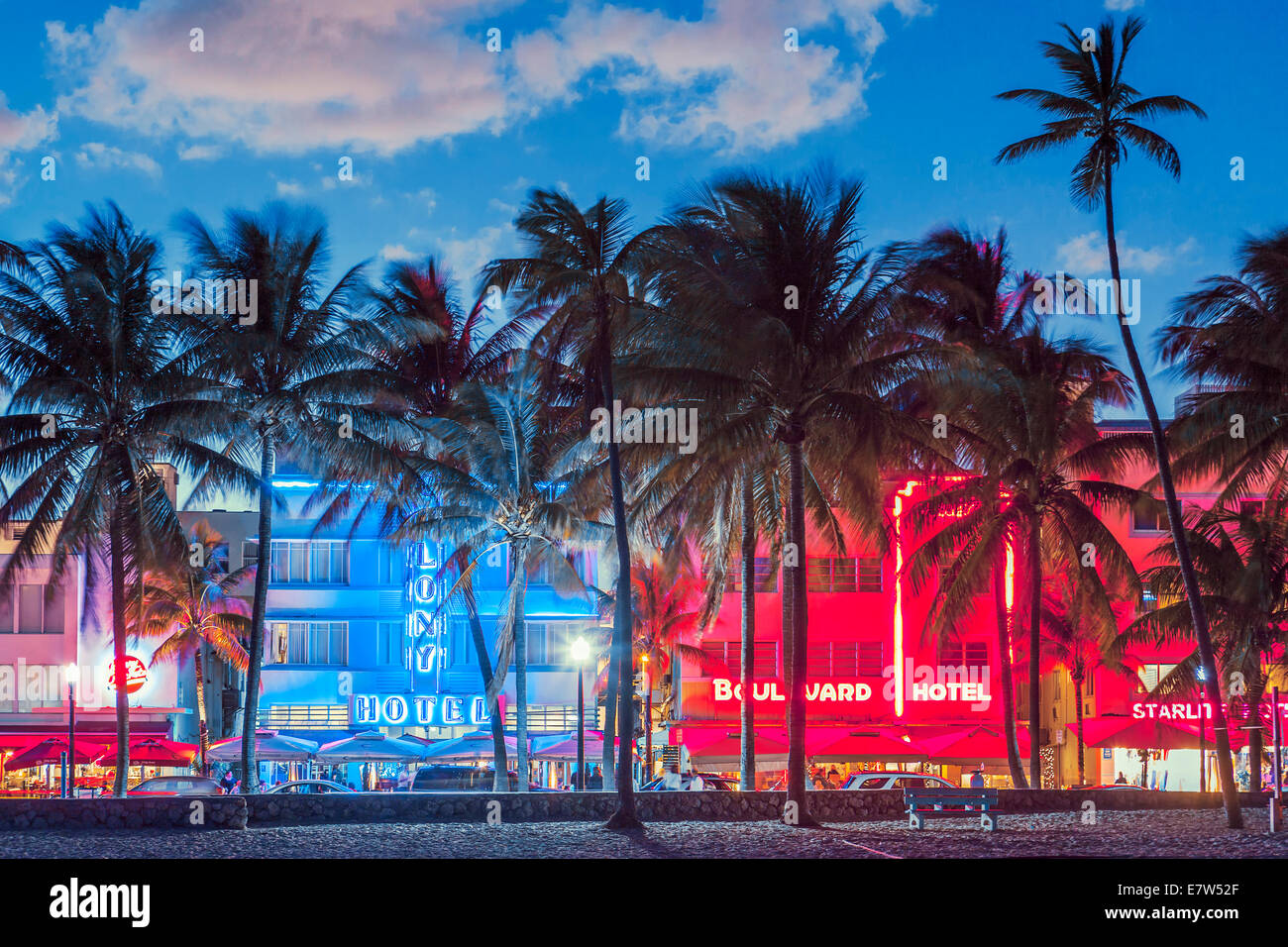 MIAMI, FLORIDE - le 24 janvier 2014 : palmiers bordent Ocean Drive. La route est l'artère principale à South Beach. Banque D'Images