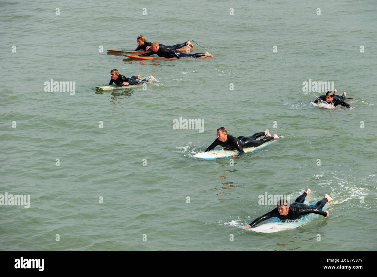 Groupe de surf en néoprène à plat dans la mer, des planches de pagayer vers les vagues Banque D'Images
