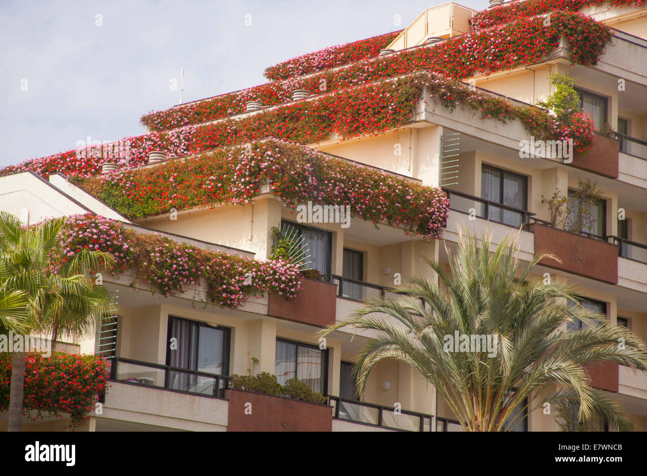 Balcon Des Fleurs sur hotel Tenerife Banque D'Images