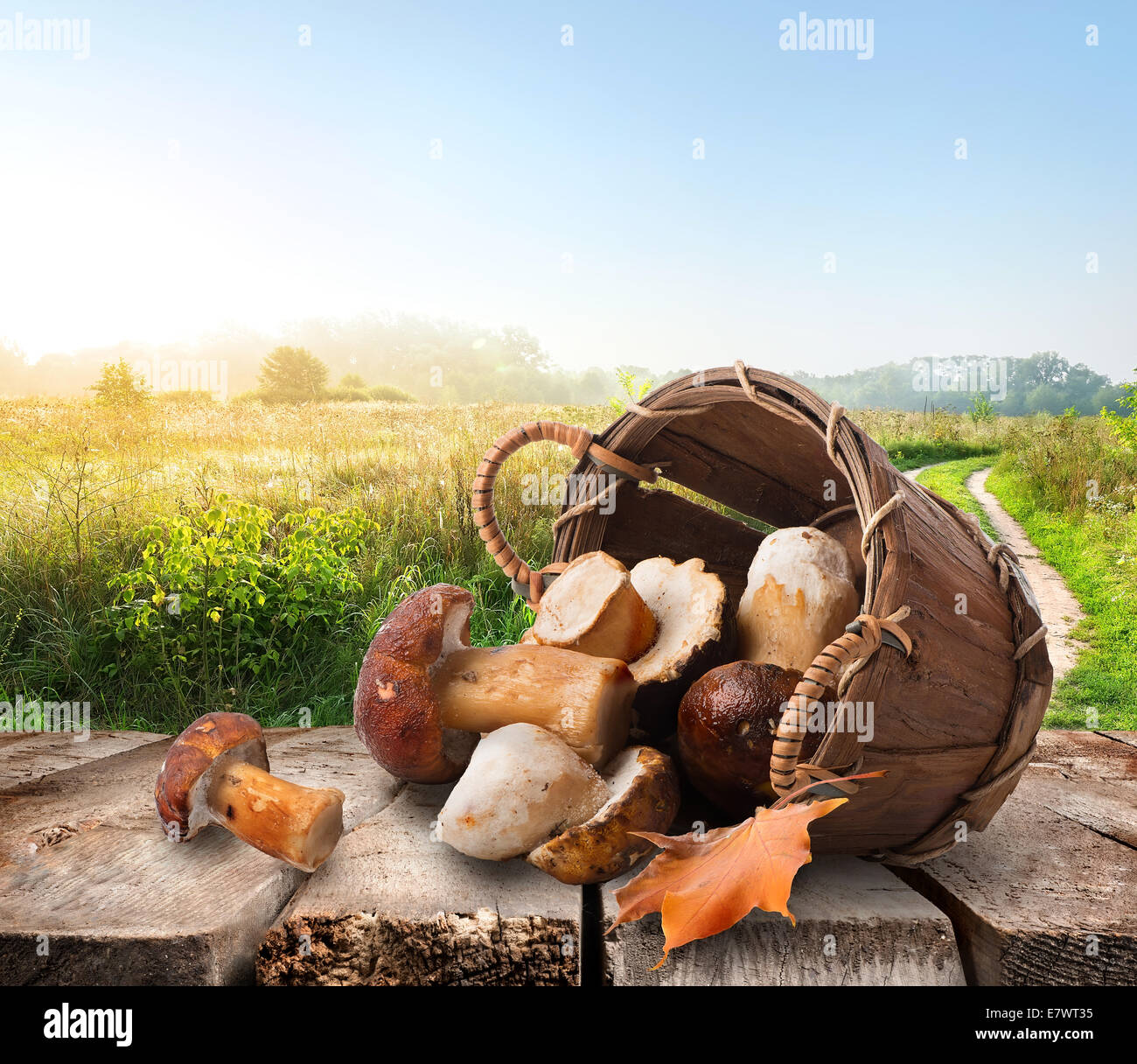 Les champignons dans un panier sur la table en bois Banque D'Images