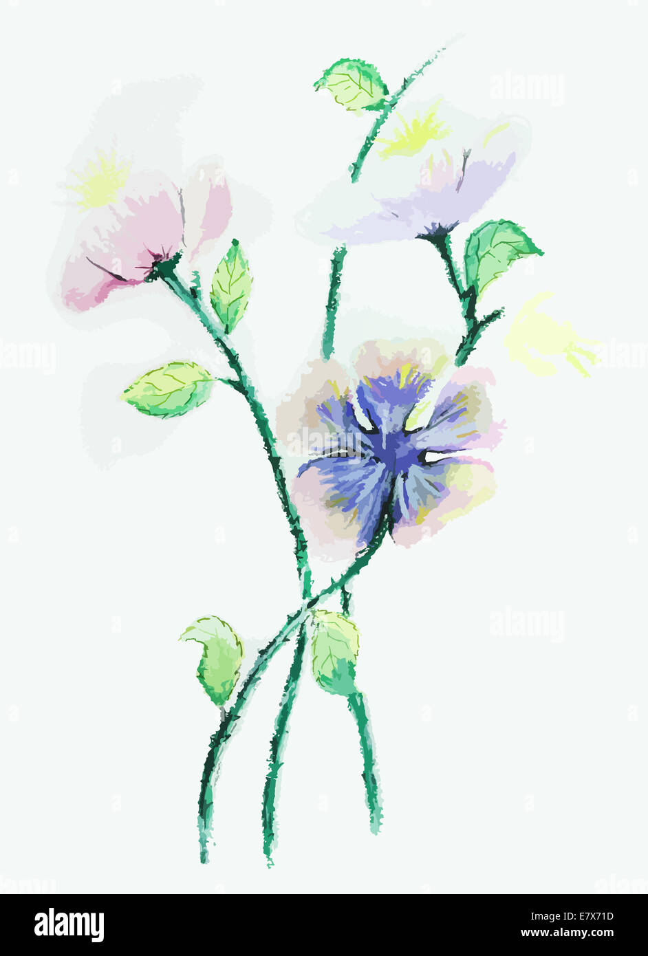 Une belle fleur sur un fond de peinture blanche Banque D'Images