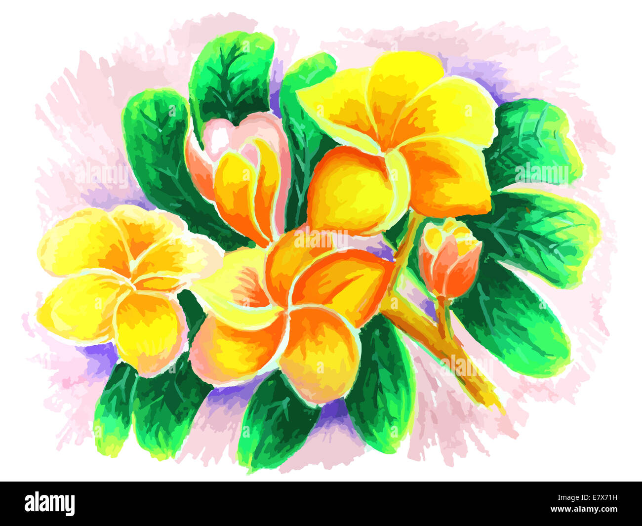 Desert Rose s'appuyant sur un fond blanc Banque D'Images