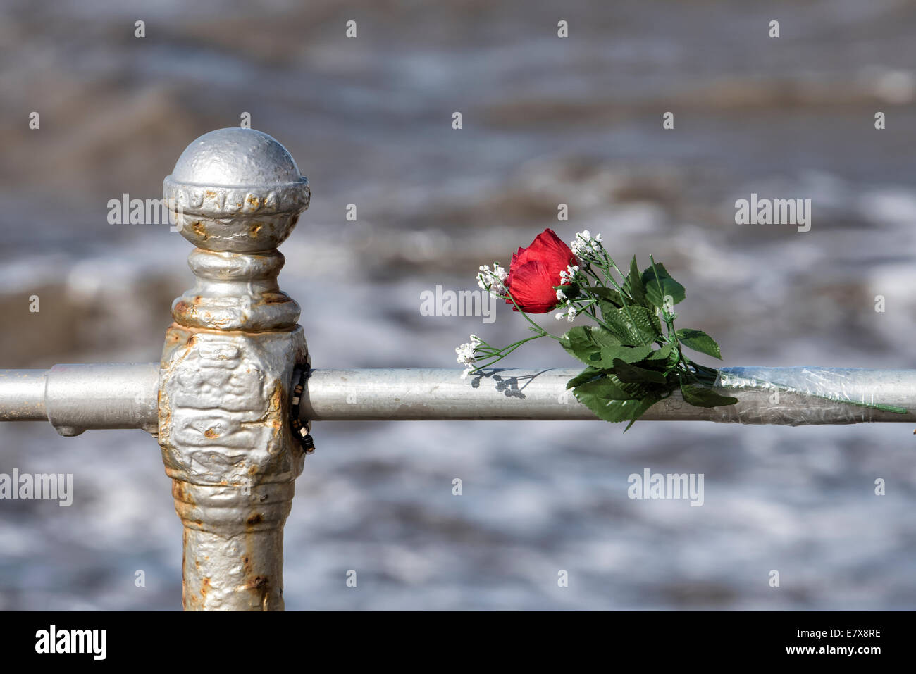 Fleurs placées sur une balustrade donnant sur la mer, à la mémoire d'un jeune homme qui s'est suicidé il y Banque D'Images