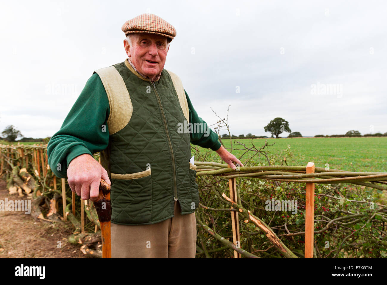 East Stoke, Nottinghamshire, Angleterre. 25 Septembre, 2014. A en juger de la couverture portant la concurrence à l'Flintham et District de labour. Credit : penny fillingham/Alamy Live News Banque D'Images