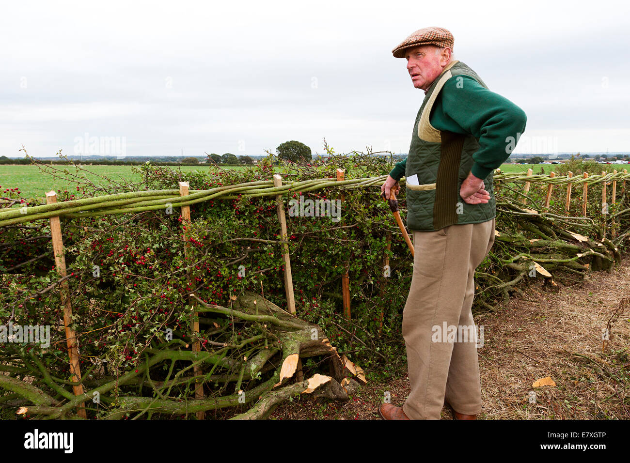 East Stoke, Nottinghamshire, Angleterre. 25 Septembre, 2014. A en juger de la couverture portant la concurrence à l'Flintham et District de labour. Credit : penny fillingham/Alamy Live News Banque D'Images