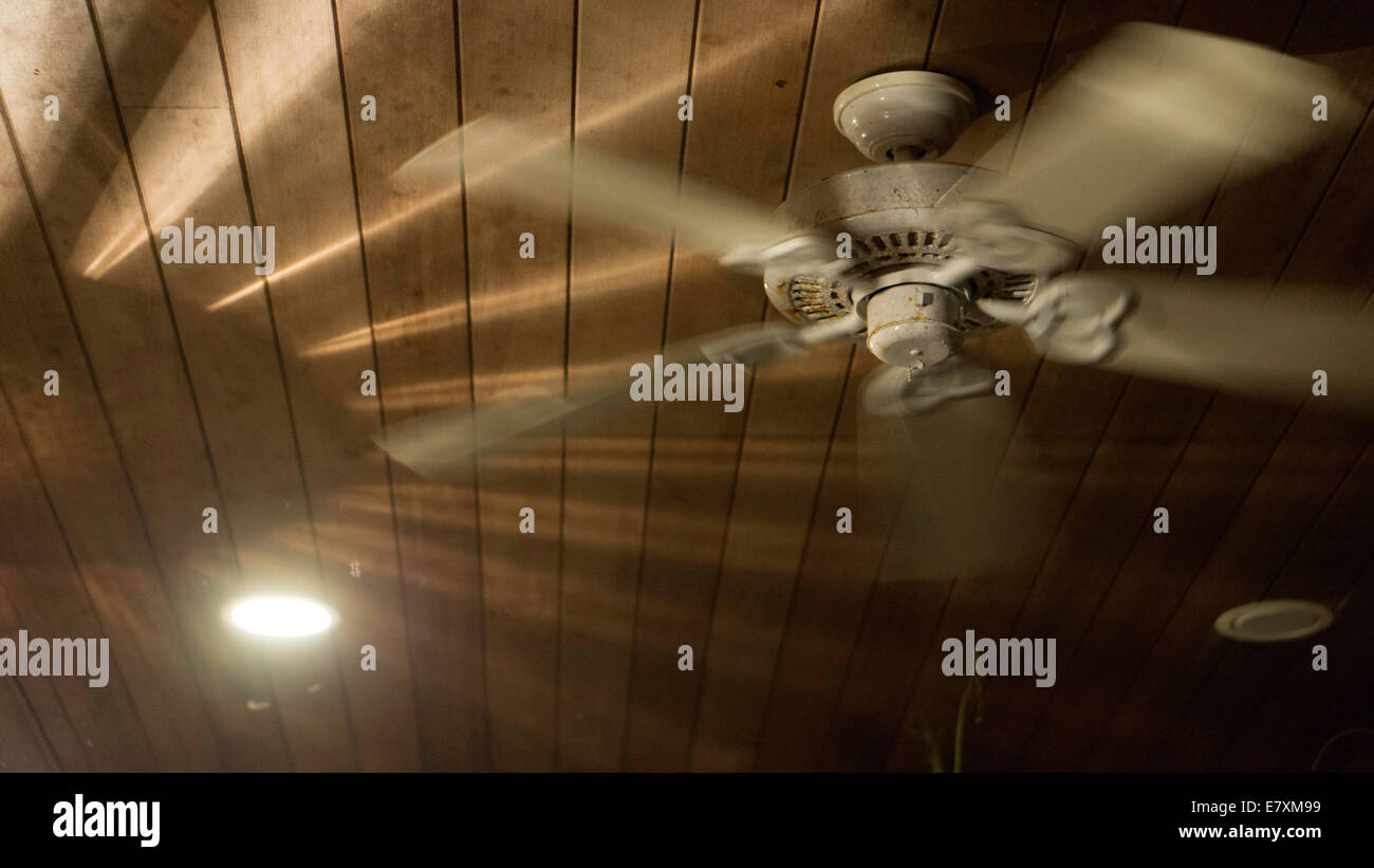 Ventilateur de plafond Banque D'Images