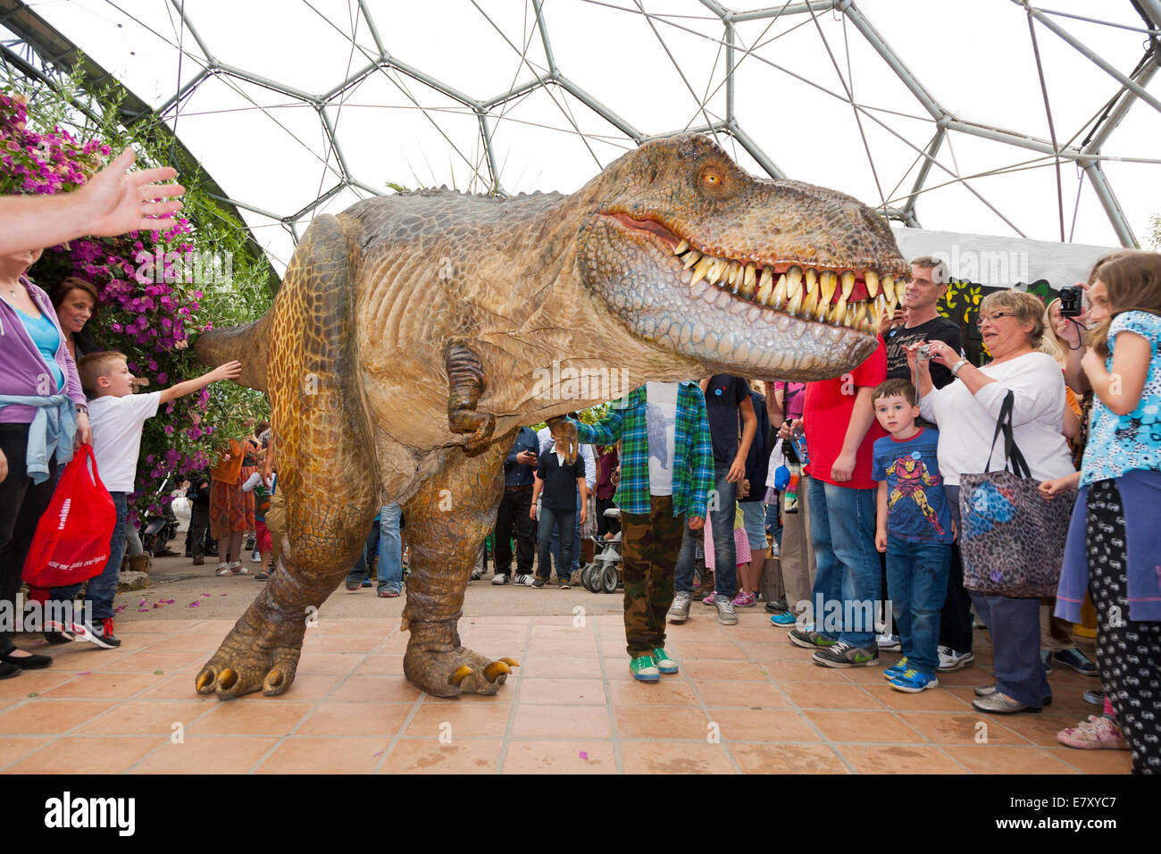 Un dinosaure en liberté (avec les gardiens) divertit les enfants et familles à l'Eden Project à Bodelva Saint Austell, Cornwall, UK Banque D'Images