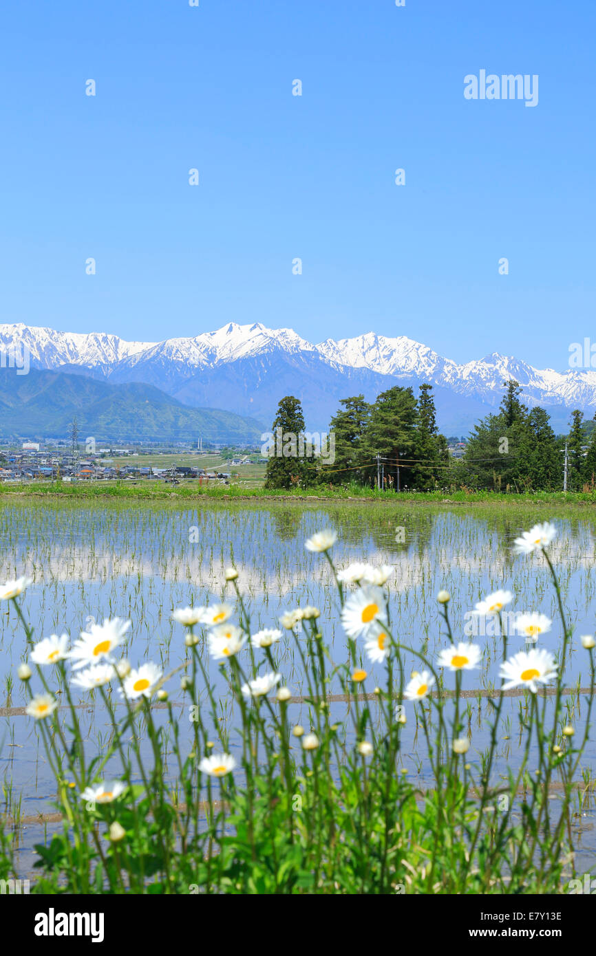 La Préfecture de Nagano, Japon Banque D'Images