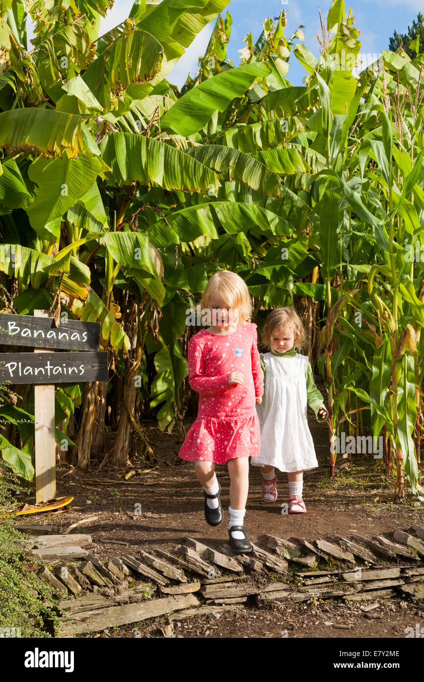 Quatre ans 4 & 2 Fille 2 ans Enfant Soeur marche et jouant dans l'Eden Project, à l'extérieur jardin extérieur. Cornwall. UK. Banque D'Images