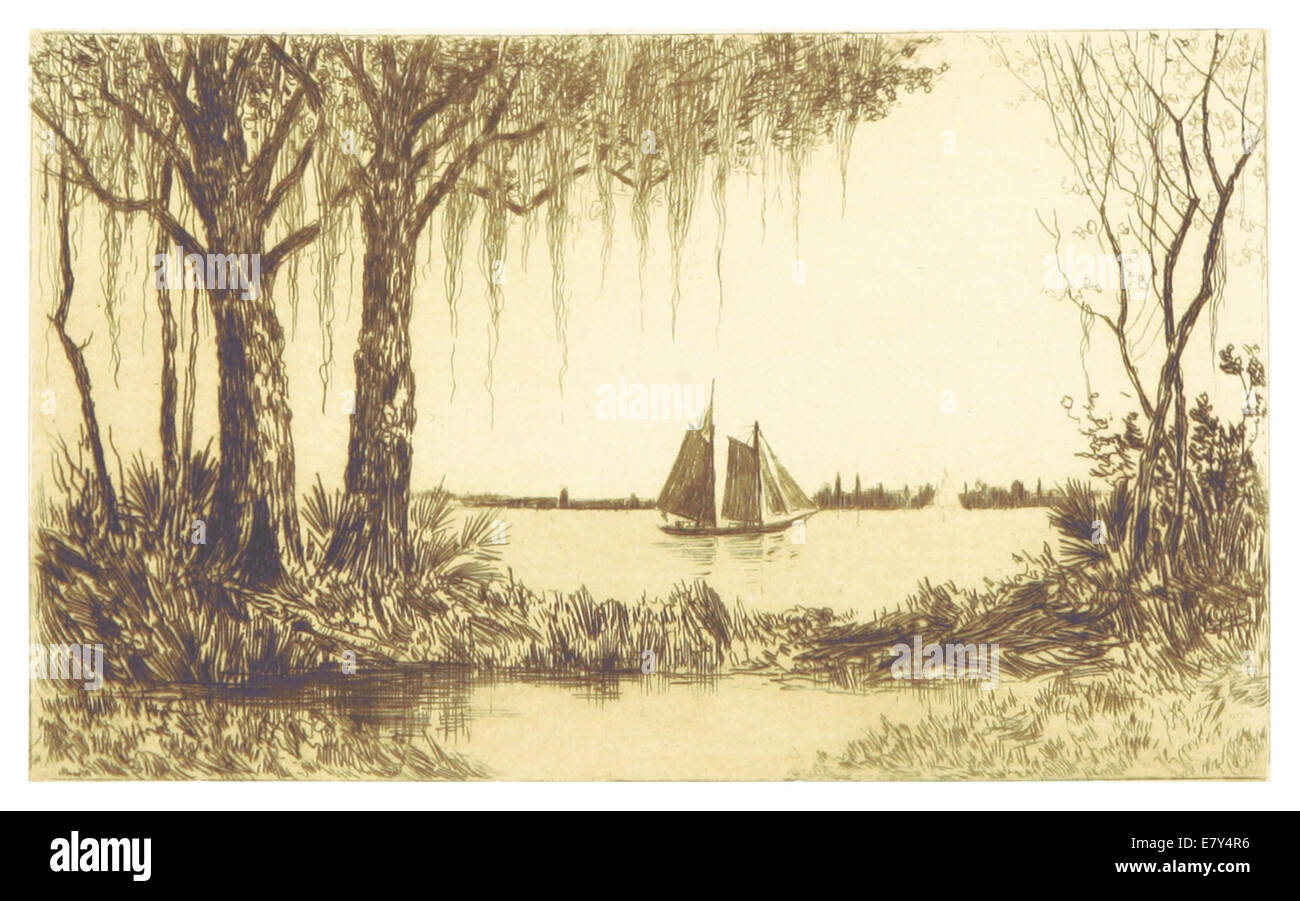 Cette illustration de 1889 d'Augustine, Floride, montre une vue panoramique de la ville d'une perspective insulaire, mettant en évidence le front de mer et les caractéristiques architecturales clés. Banque D'Images