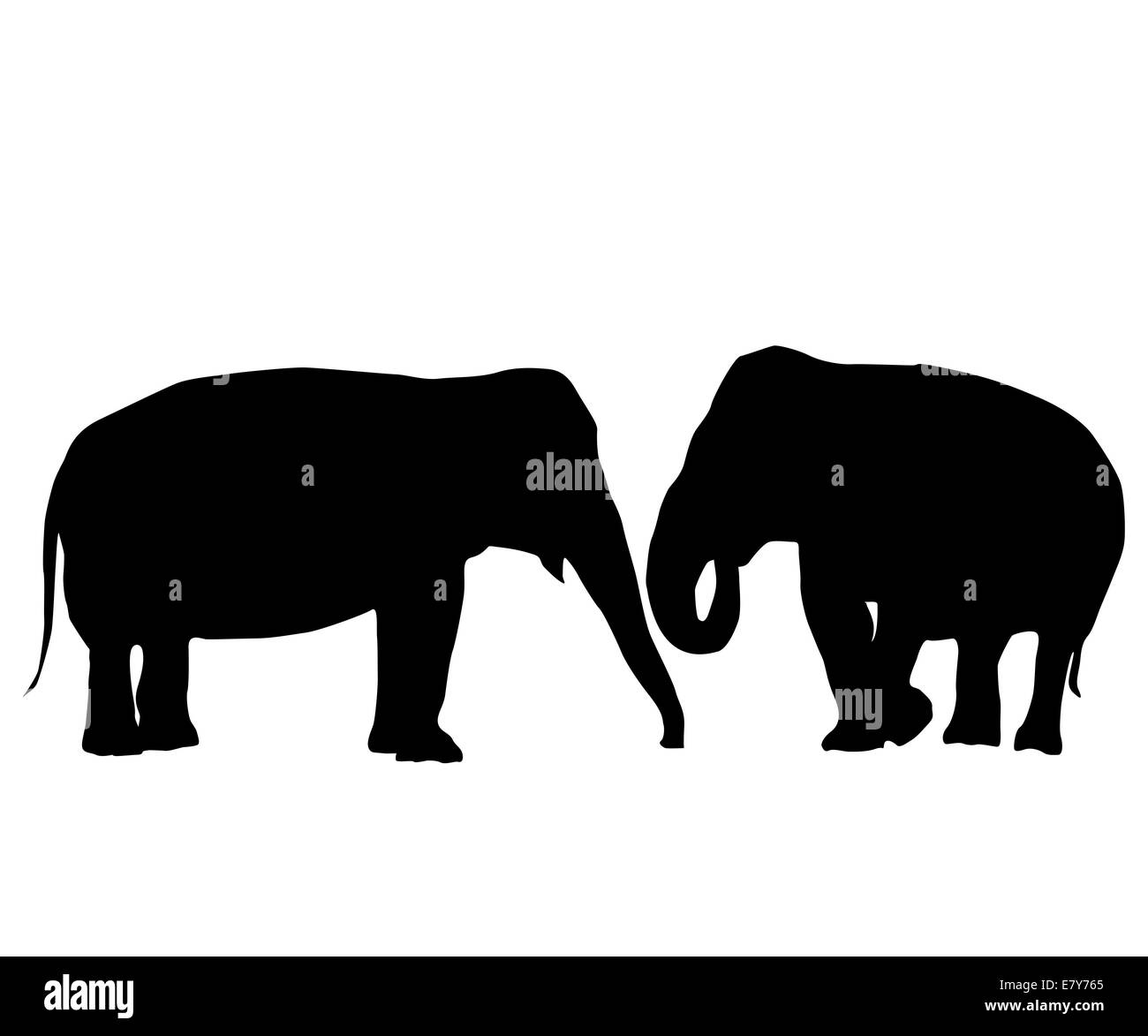 Deux éléphants, carte de l'amour objets isolé sur fond blanc Banque D'Images