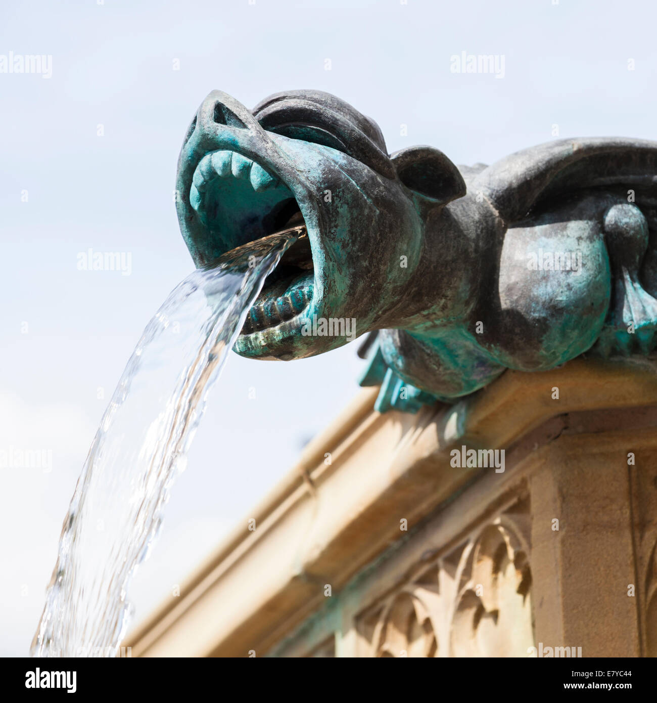 Gargoyle, cours d'eau de sa bouche, dans le cadre d'une fontaine dans Albert Square, Manchester, Angleterre, RU Banque D'Images