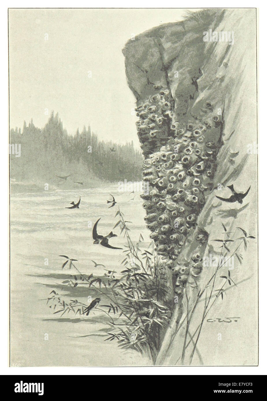 Cette illustration de 1896 de Pike représente Swallow Bluff, mettant en valeur ses caractéristiques topographiques et son importance en tant que repère géographique. Banque D'Images