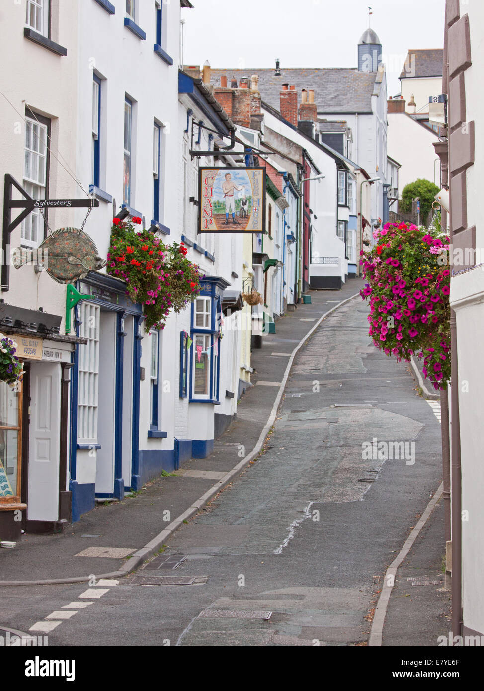 Route escarpée dans le village d'Appledore dans le Nord du Devon UK qui est l'hôte d'un festival littéraire annuel Banque D'Images