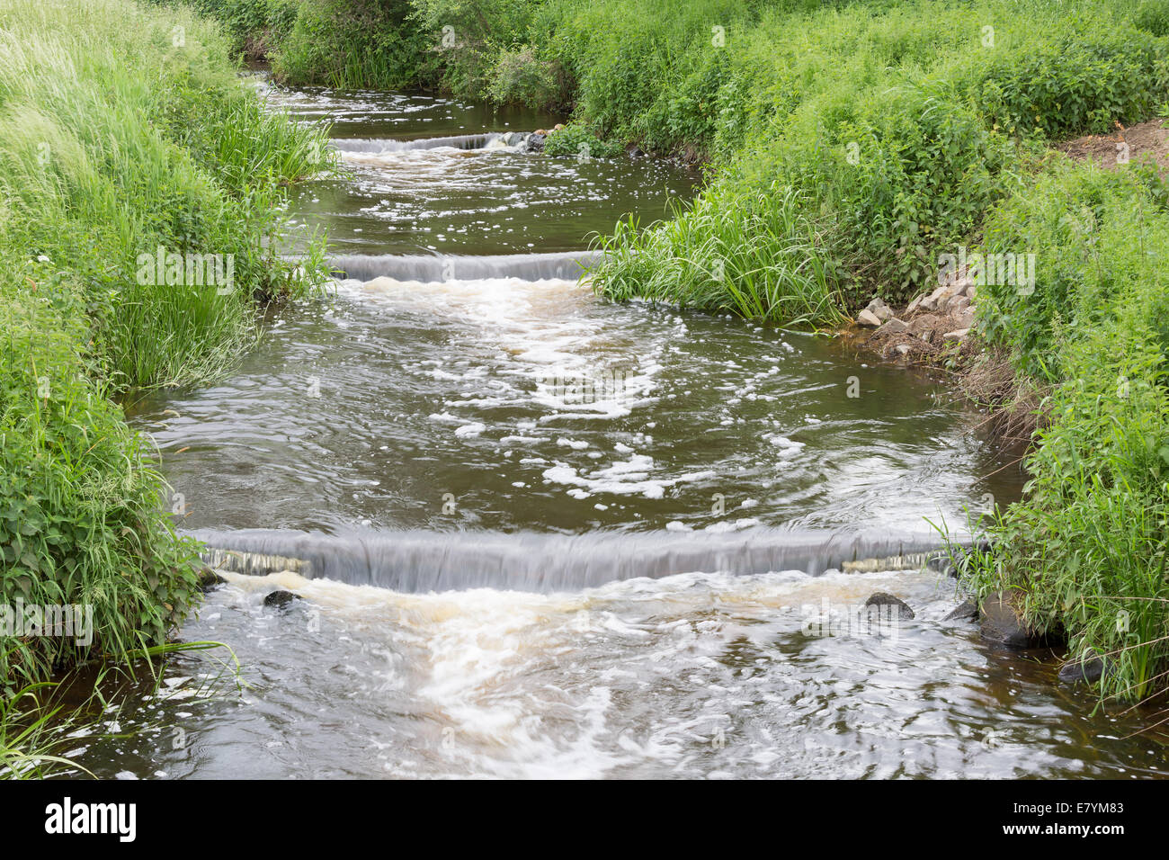 Les petits poissons, le long d'un barrage dans la rivière Vecht Néerlandais Banque D'Images