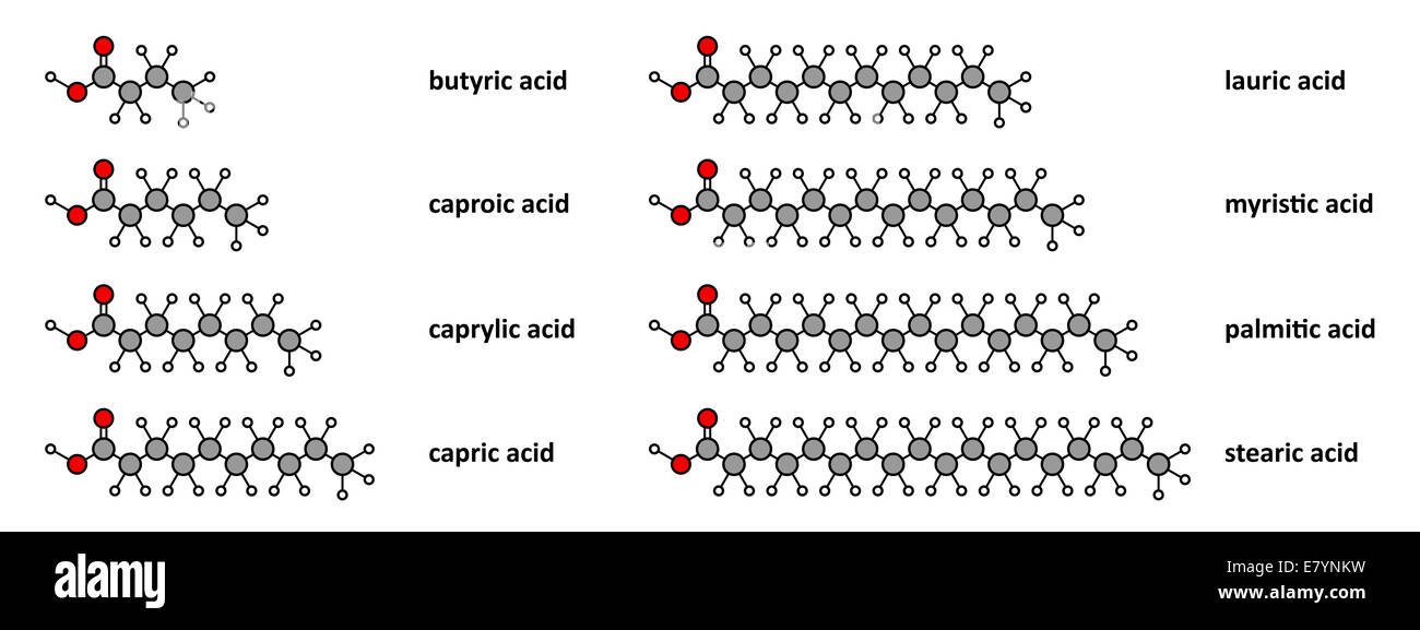 Acides gras saturés caproïque, butyrique, acide caprylique caprique,, laurique, myristique
