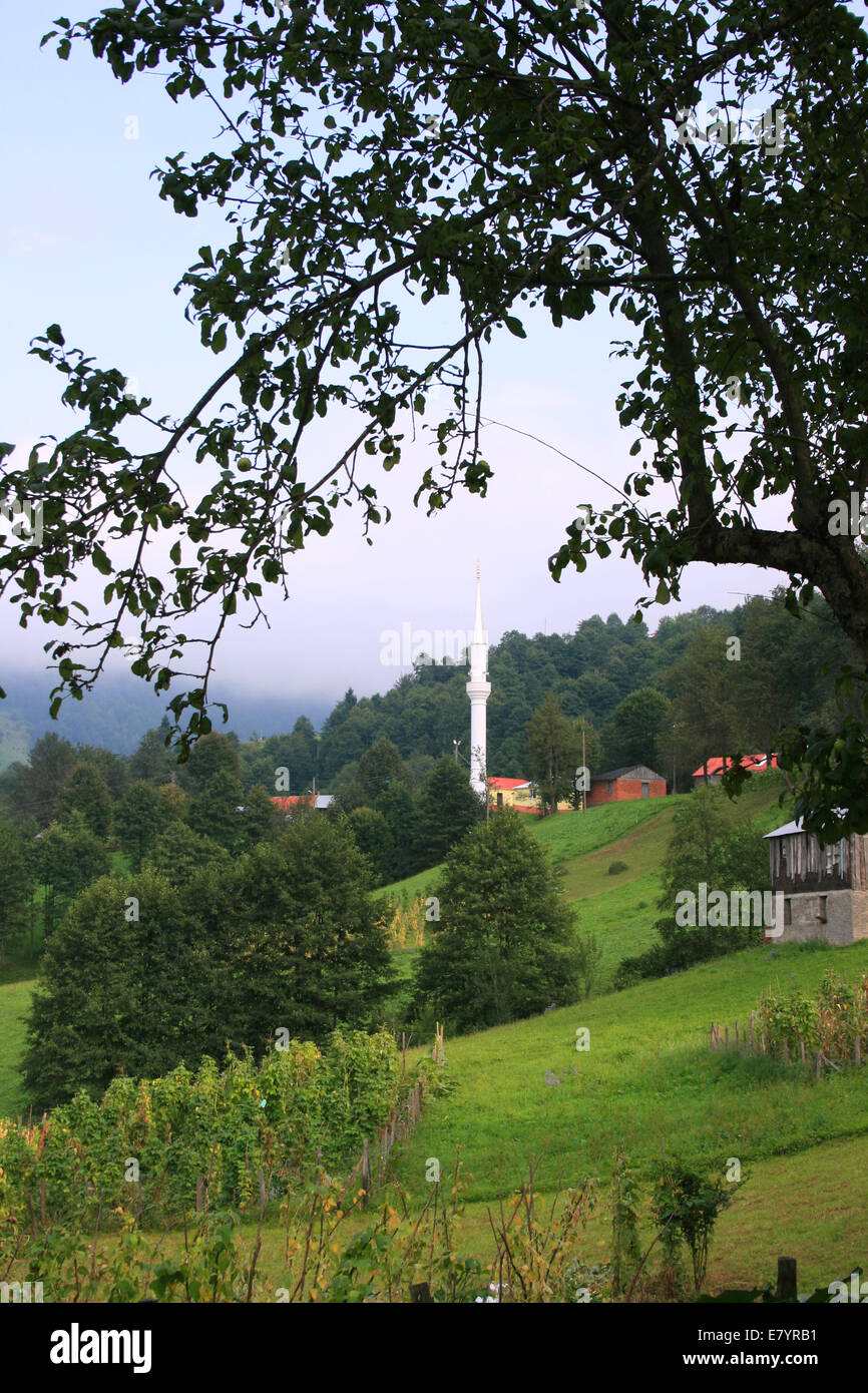 Hautes terres de la Turquie, de l'Est Région Blacksea.village typique à Trabzon Banque D'Images