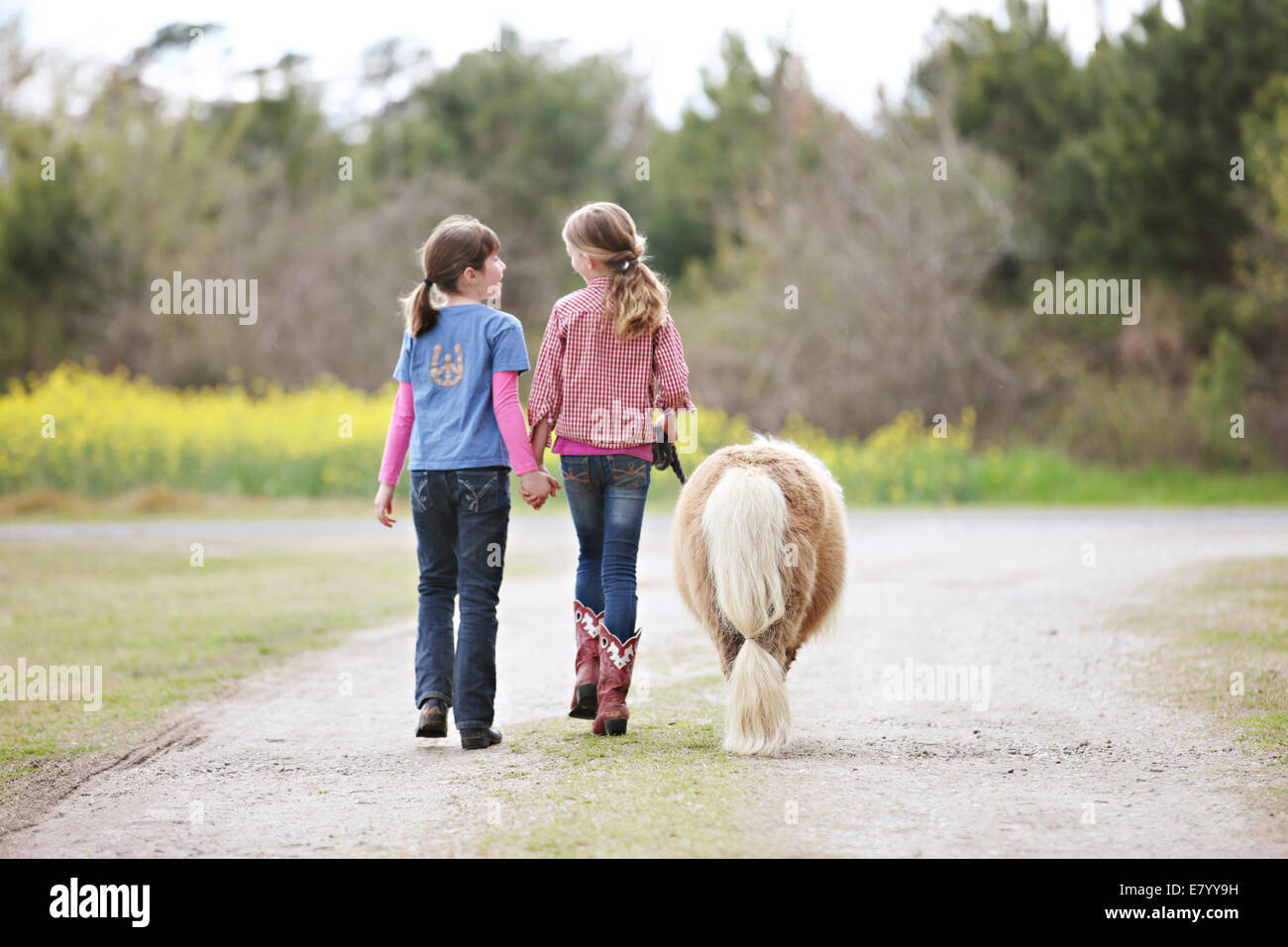 Deux copines (6-7, 10-12) walking avec pony Banque D'Images