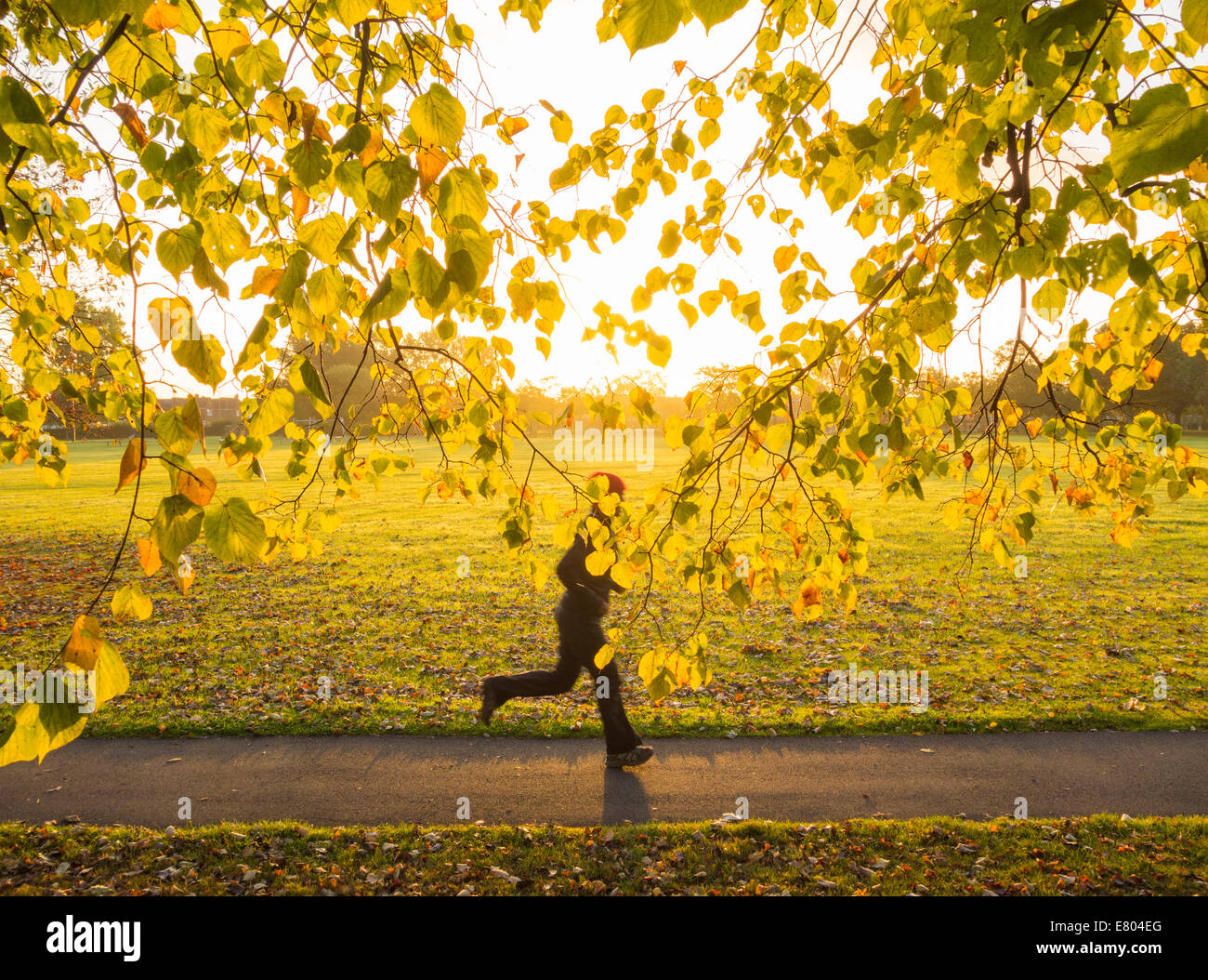 Woman jogging in park au lever du soleil. UK Banque D'Images
