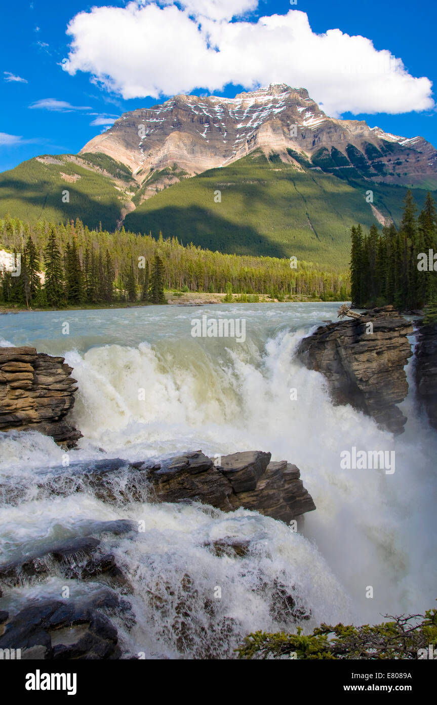 Les chutes Athabasca, promenade des Glaciers du parc national de Jasper, Alberta, Canada Banque D'Images