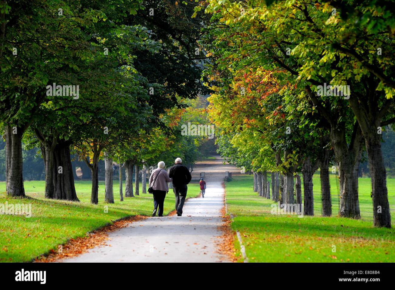 Un couple de personnes âgées à travers les arbres d'automne. Nottingham Wollaton park England uk Banque D'Images
