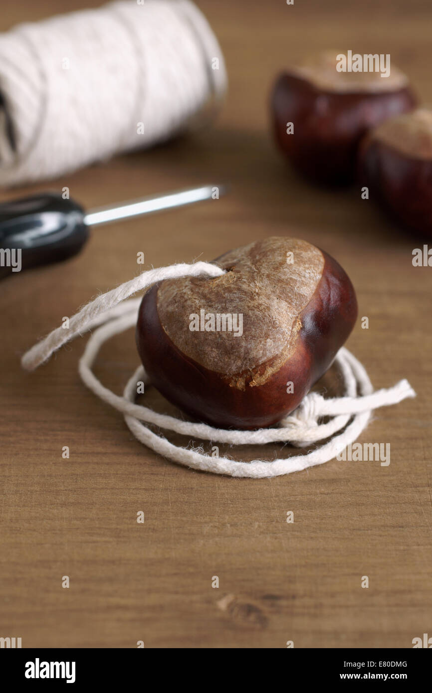 Conkers un traditionnel jeu d'enfant joue avec les graines de Marronnier d'arbres Banque D'Images