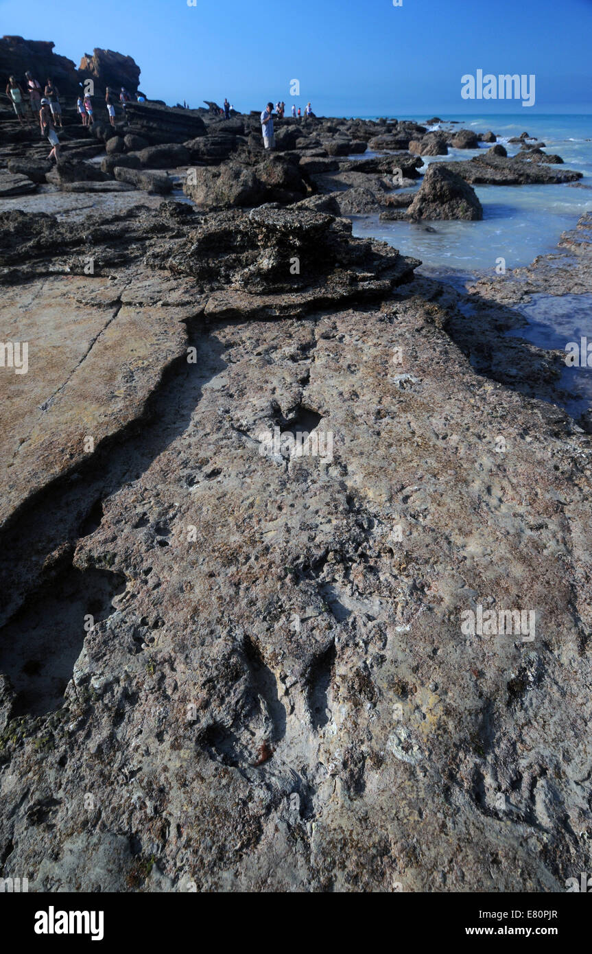 Des empreintes de dinosaures fossiles visibles à marée basse à Gantheaume Point, Broome, région de Kimberley, en Australie occidentale. Pas de monsieur Banque D'Images