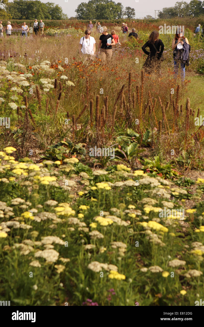 Bruton, Somerset. Temps d'automne magnifique sur le dernier week-end de septembre a amené de nombreux visiteurs à l'Hauser & Wirth jardins à leur galerie à Bruton, Somerset, Royaume-Uni. Les jardins ont été conçus par le Néerlandais Piet Oudolf paysagiste. Banque D'Images