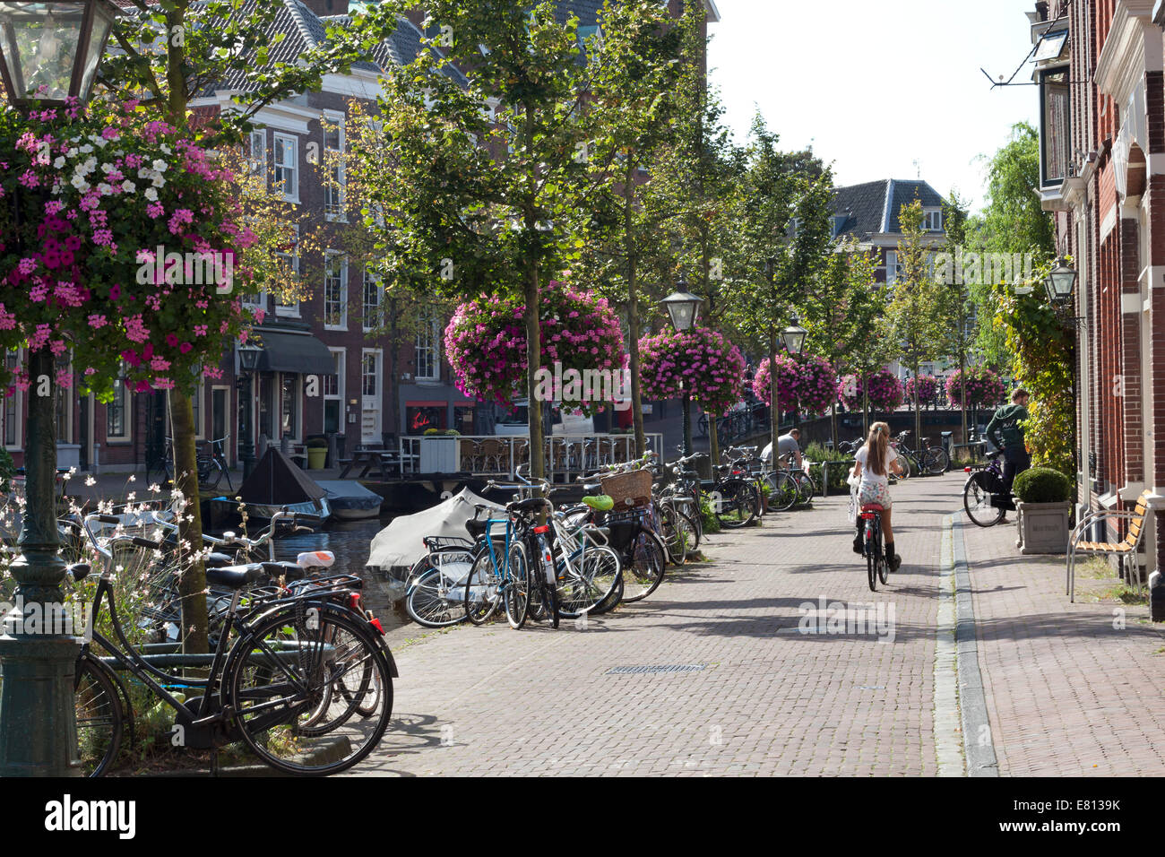 Vue sur la rue Oude Rijn en été dans la ville de Leiden, Pays-Bas Banque D'Images