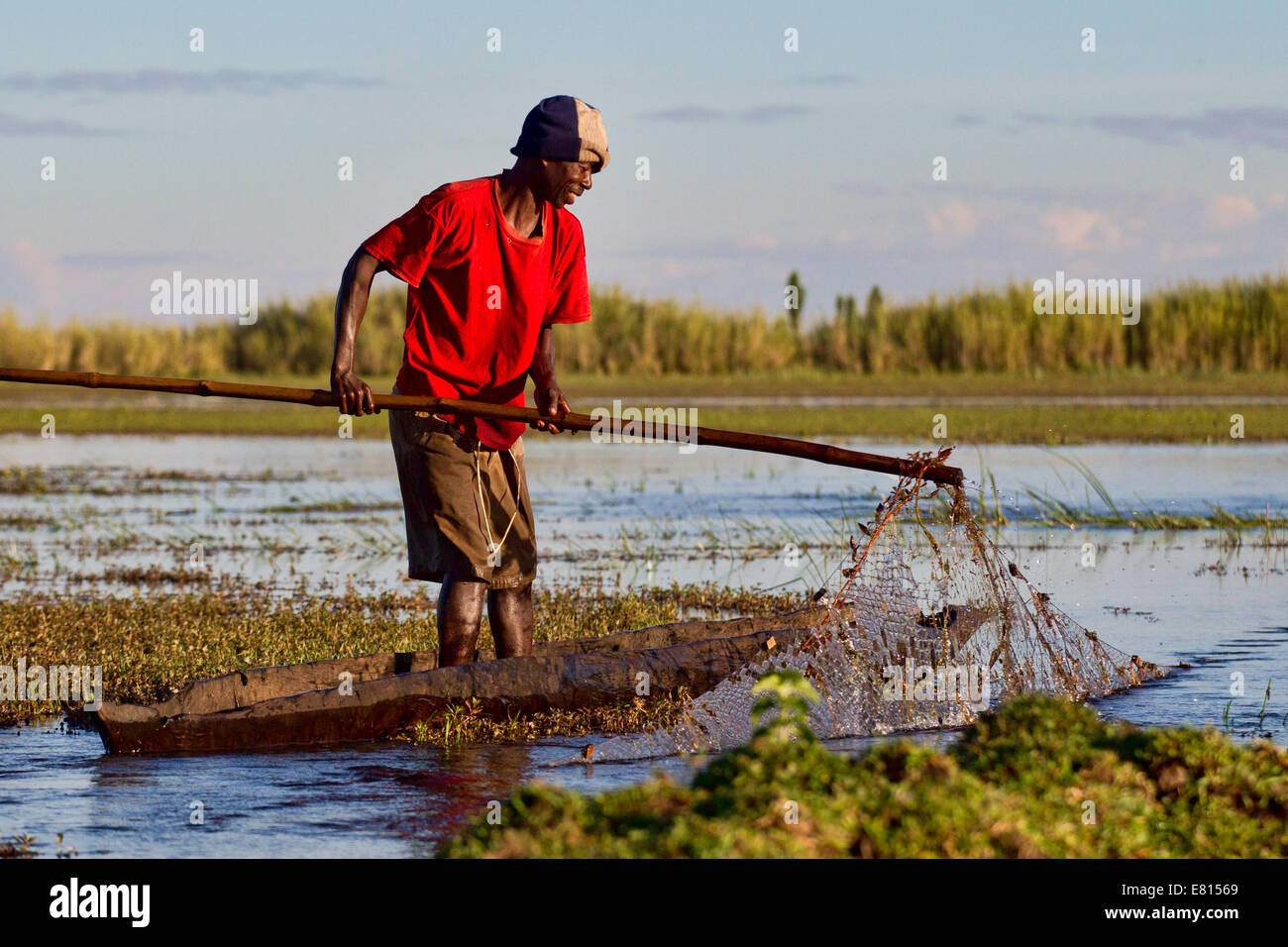 Un pêcheur se glisse dans l'eau en Jiménez-montealegre une pirogue à Bangweulu Les zones humides, la Zambie pour vérifier ses filets traditionnels. Banque D'Images