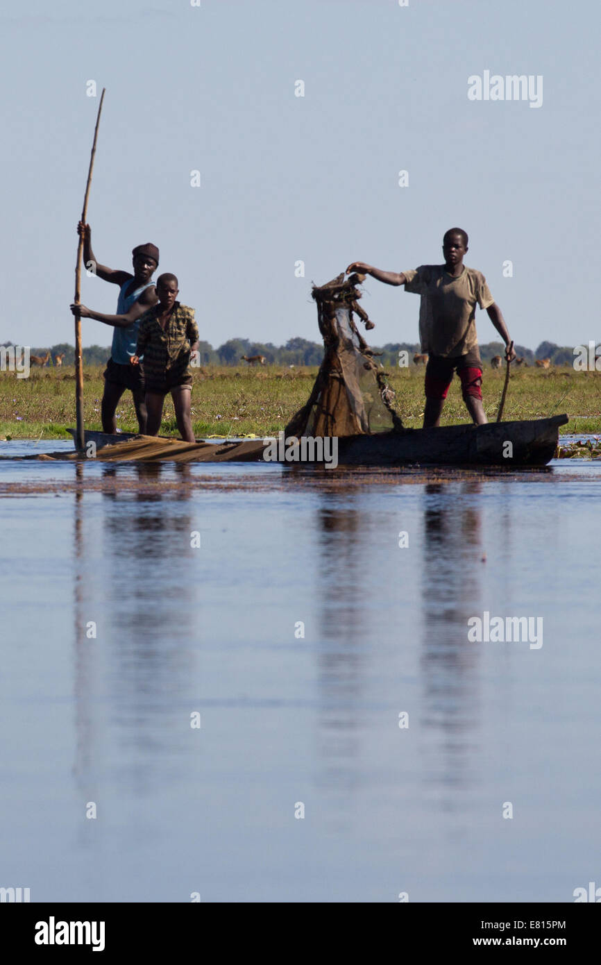 Vérifier dans les filets des pêcheurs des zones humides, la Zambie Bangweulu Banque D'Images