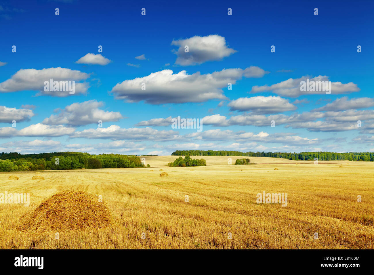 Paysage avec champ fauché et ciel bleu Banque D'Images
