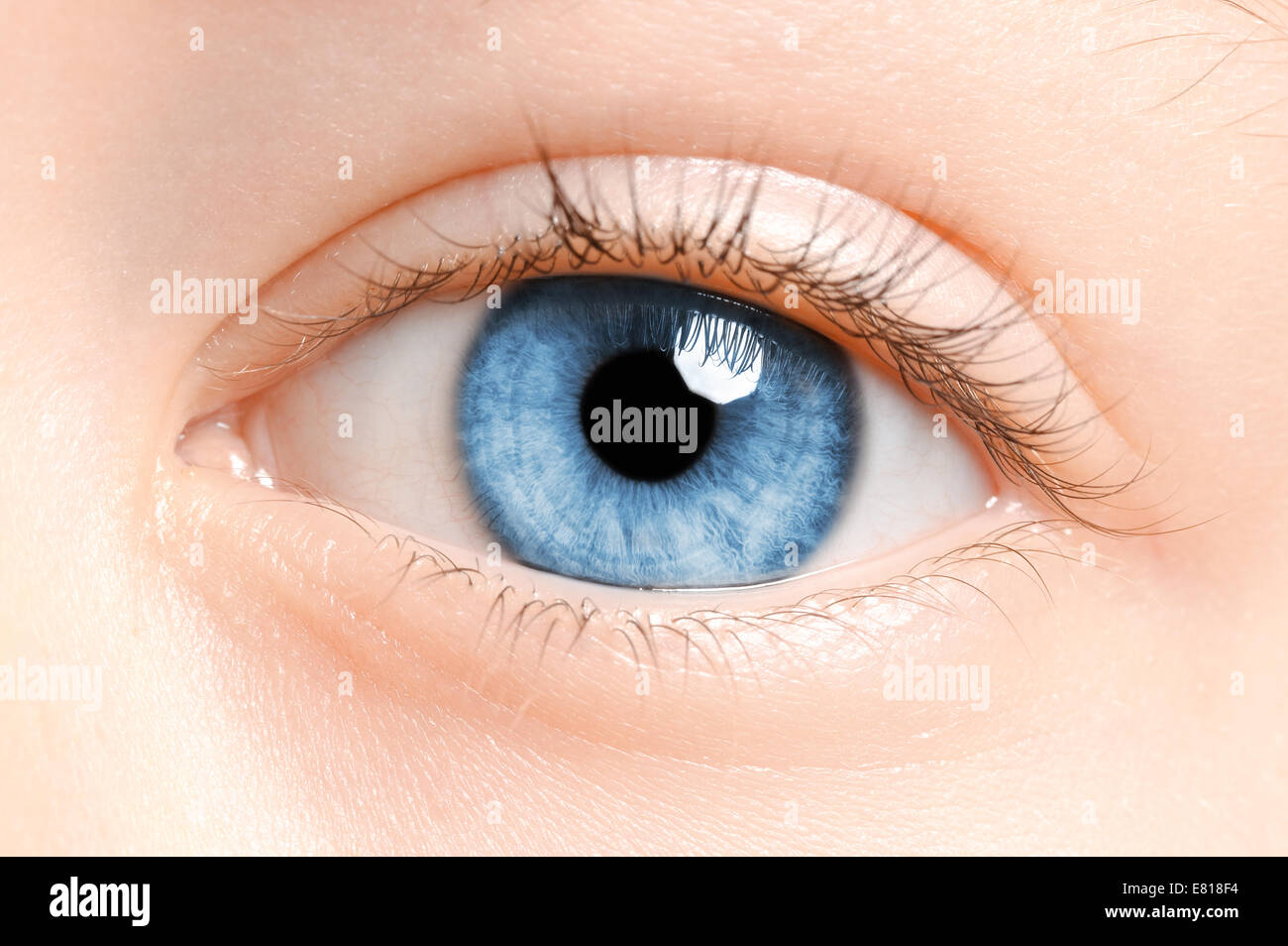 De beaux yeux bleus, macro macro shot Banque D'Images