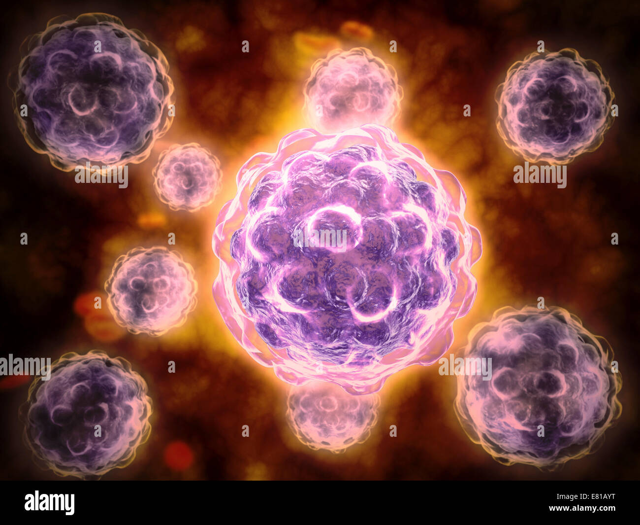 Vue microscopique de poliovirus. Poliomyélite est l'agent causal de la polio, un entérovirus humain. Il est composé d'un génome ARN Banque D'Images Vue microscopique de poliovirus. Poliomyélite est l'agent causal de la polio, un entérovirus humain. Il est composé d'un génome ARN Banque D'Images