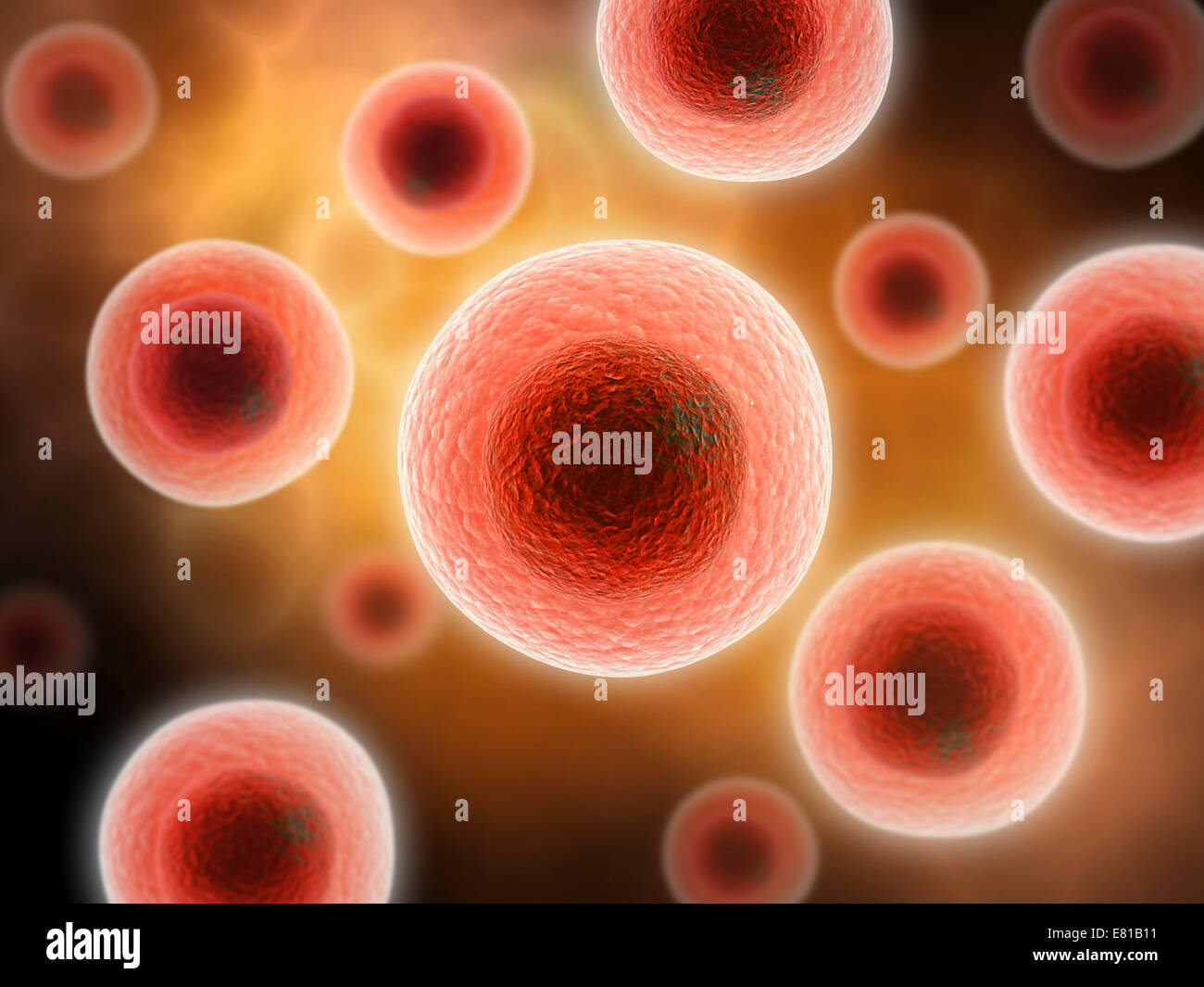 Vue microscopique de la cellule. Banque D'Images