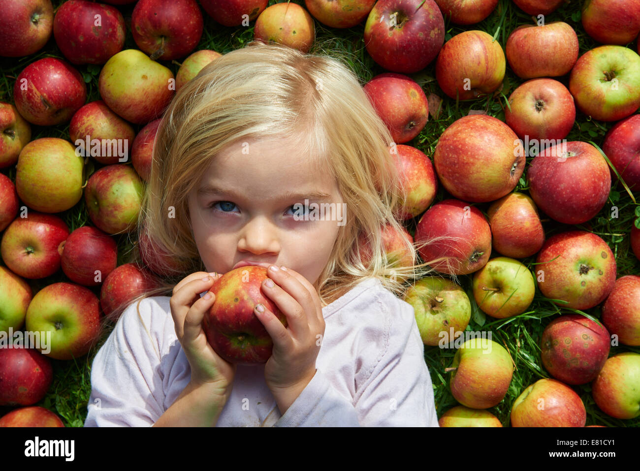 Portrait de jeune fille blonde enfant couché et manger sur l'herbe avec des pommes, d'arrière-plan se trouve Banque D'Images