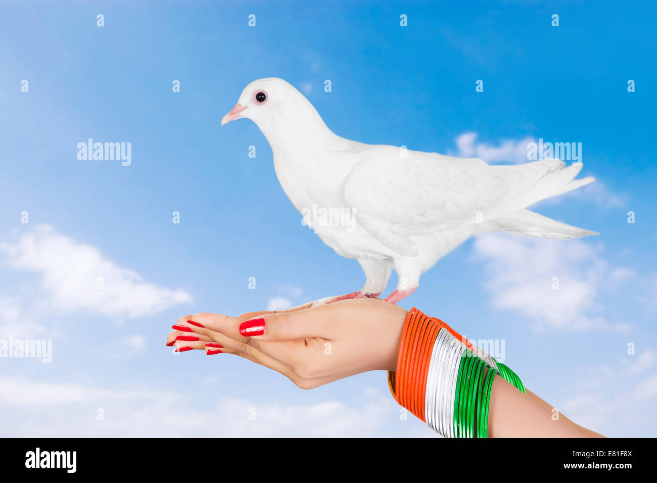 Indian Girl Flying Pigeon Banque D'Images