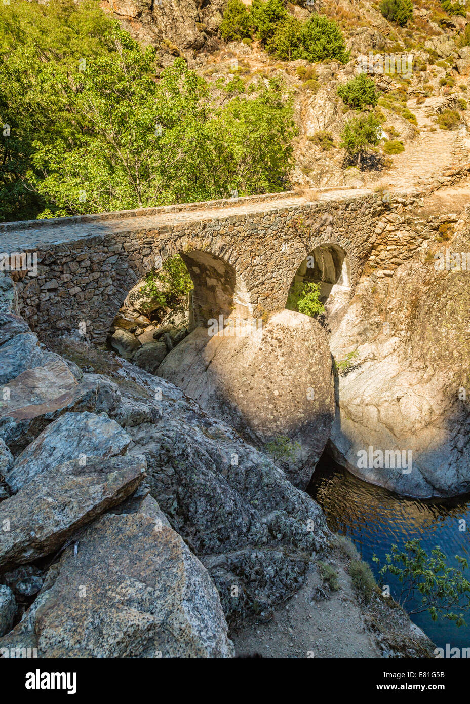 Le Ponte di l'Accia pont sur la Scala di Santa Regina sentier près de Corscia dans le centre de la Corse Banque D'Images