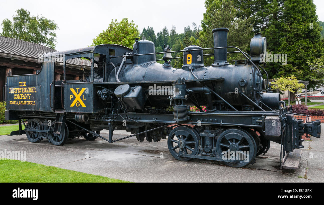 La Californie, Nouvelle-Écosse, Pacific Lumber Company Museum, Heisler orienté locomotive à vapeur Banque D'Images