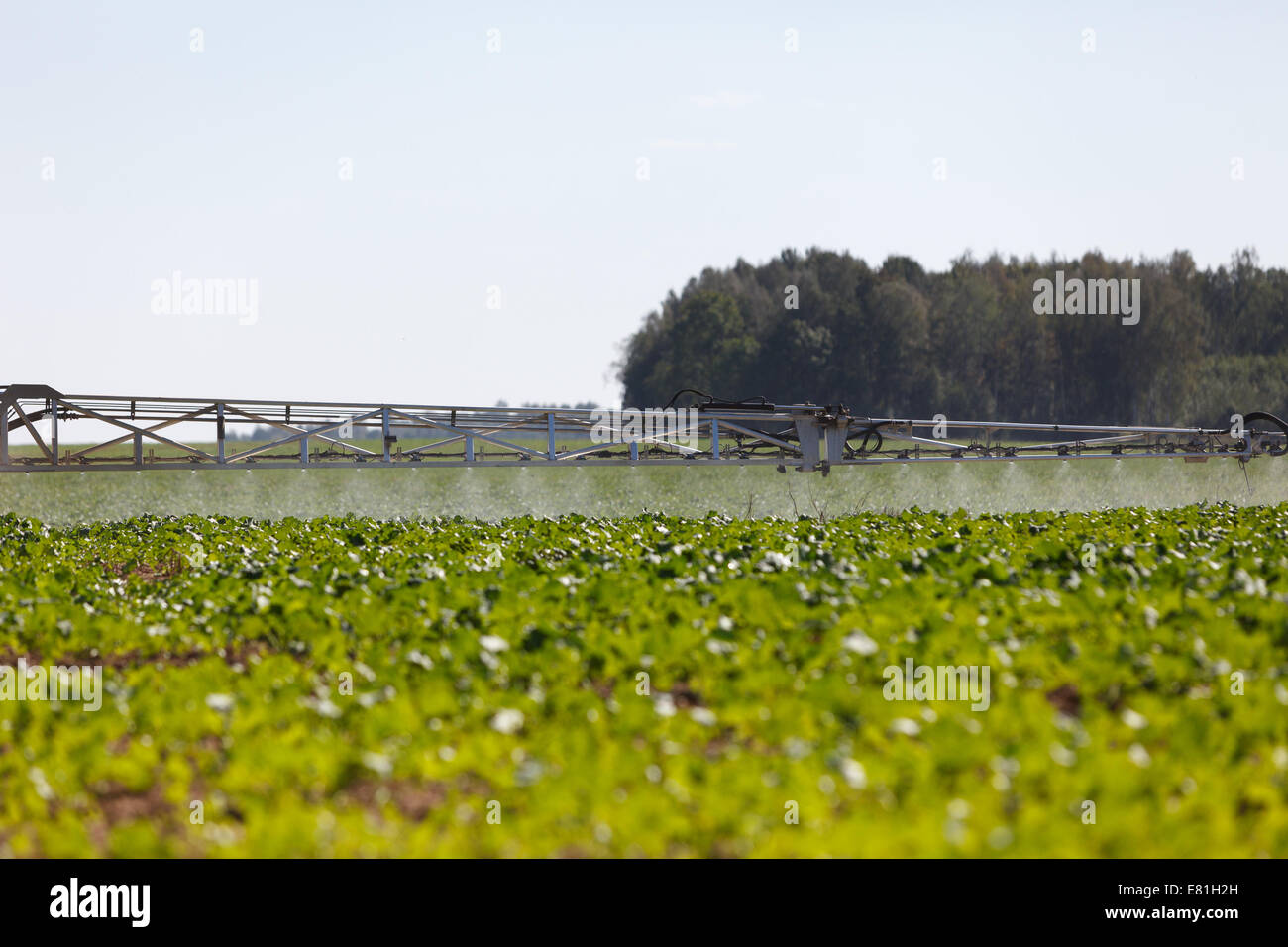 Pulvérisateur insecticide fongicide pesticides du tracteur Banque D'Images