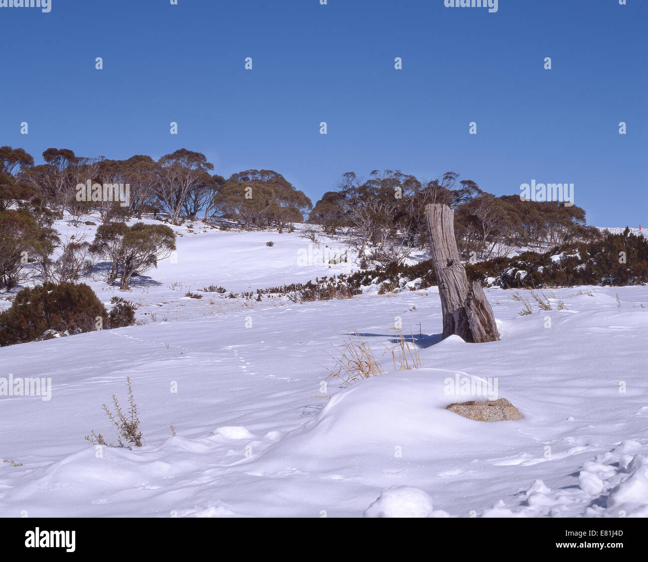 L'Australie : montagnes enneigées, EN IN Banque D'Images