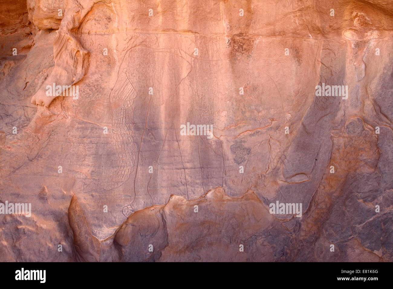 La gravure d'un elefant rock, rock art néolithique, Tadrart région, le Tassili n'Ajjer National 