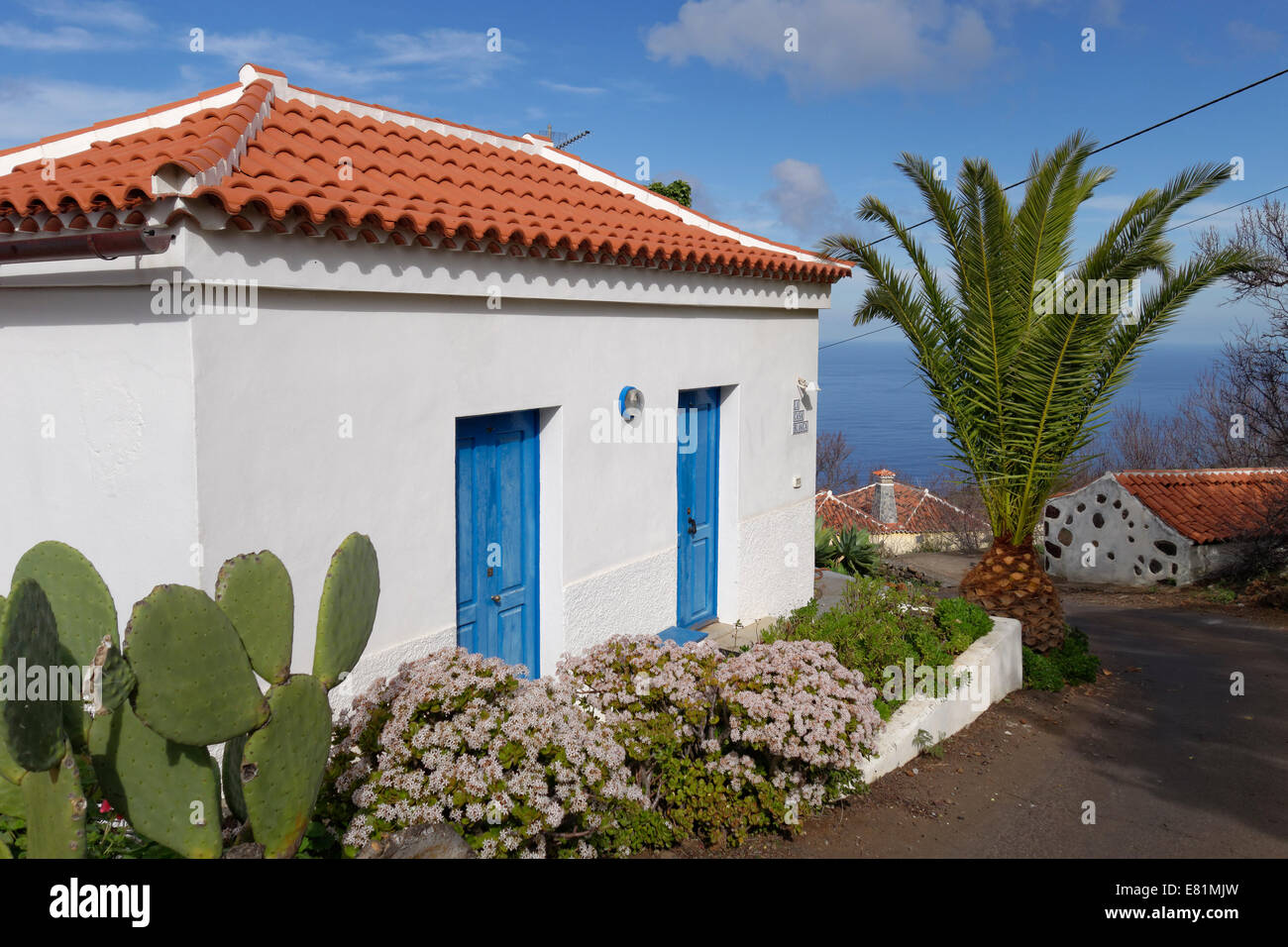 Petite maison avec la floraison des plantes de Jade (Crassula ovata), Las Tricias, La Palma, Canary Islands, Spain Banque D'Images