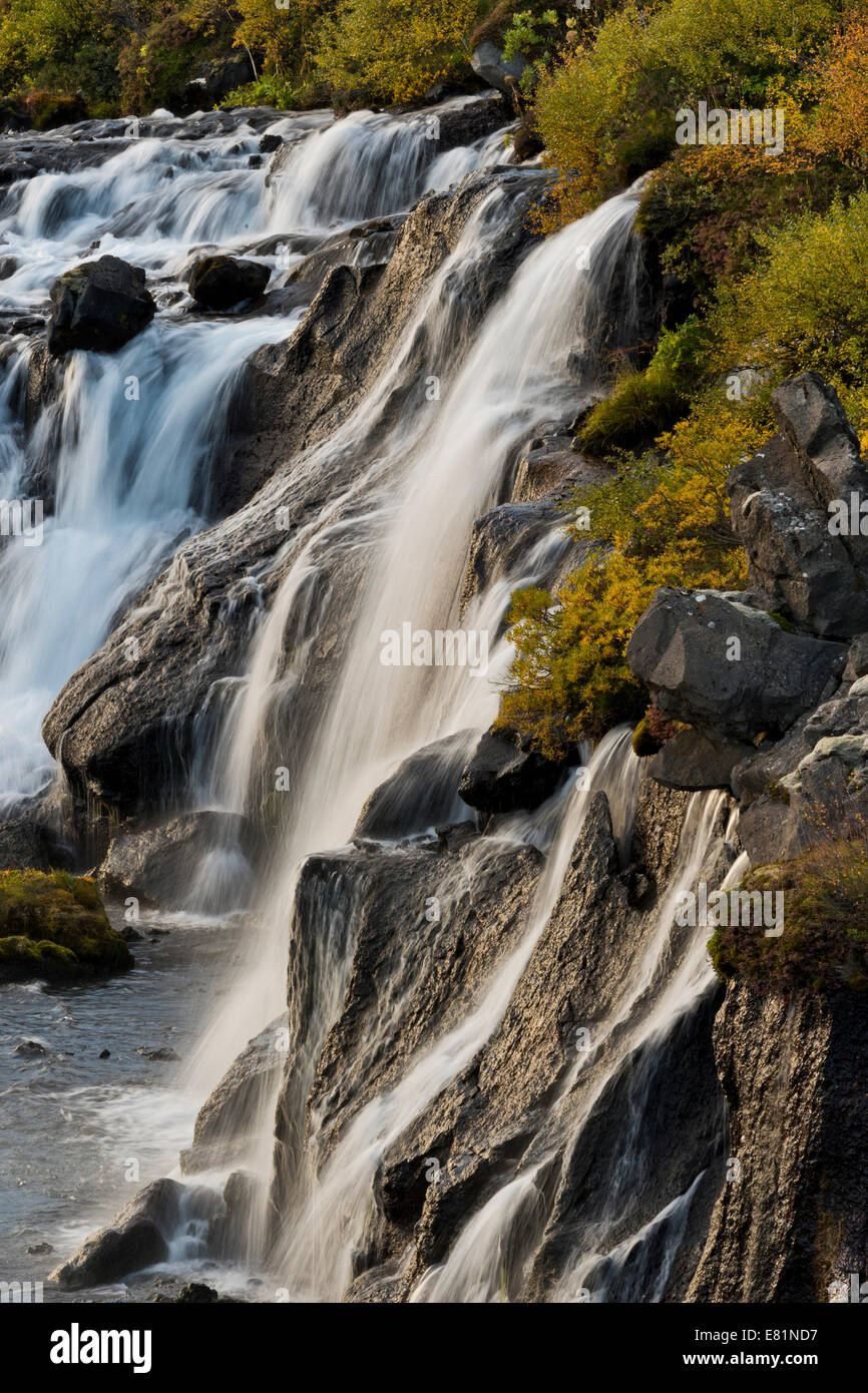 Les cascades de Hraunfossar, la rivière Hvítá en automne, près de Húsafell et Reykholt, Islande Banque D'Images