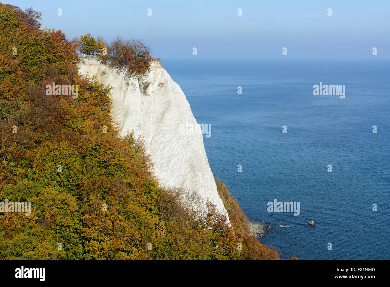 Königsstuhl, Président du Roi, falaises de craie à l'automne, le Parc National de Jasmund, Rügen, Mecklembourg-Poméranie-Occidentale, Allemagne Banque D'Images