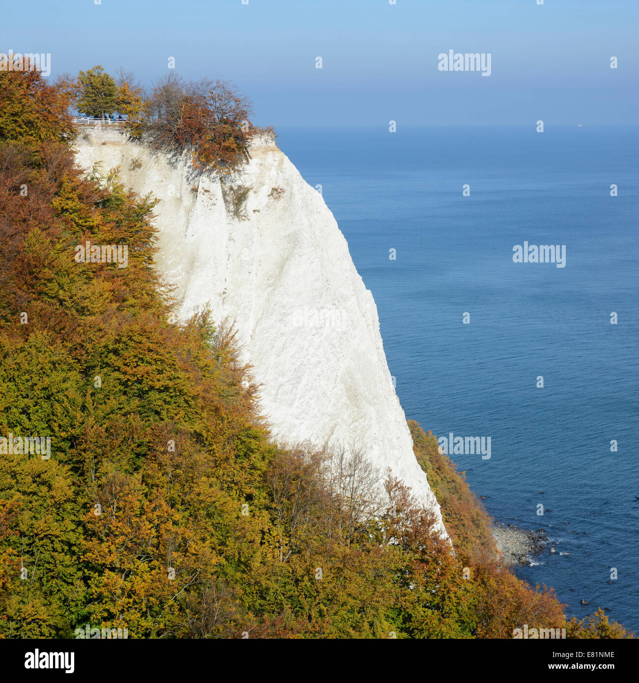 Königsstuhl, Président du Roi, falaises de craie à l'automne, le Parc National de Jasmund, Rügen, Mecklembourg-Poméranie-Occidentale, Allemagne Banque D'Images