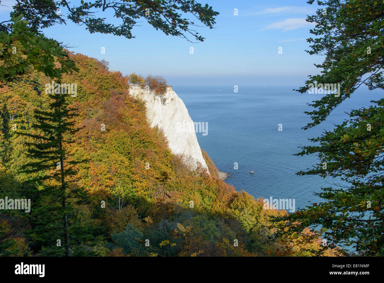 Königsstuhl, Président du Roi, falaises de craie à l'automne, le Parc National de Jasmund, Rügen, Mecklembourg-Poméranie-Occidentale, Allemagne Banque D'Images